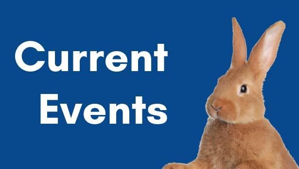 Orange rabbit cutout over blue background and words Current Events