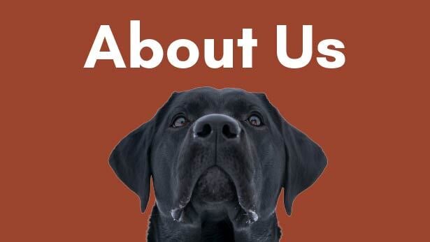 6 About Us Welcome Dog-1